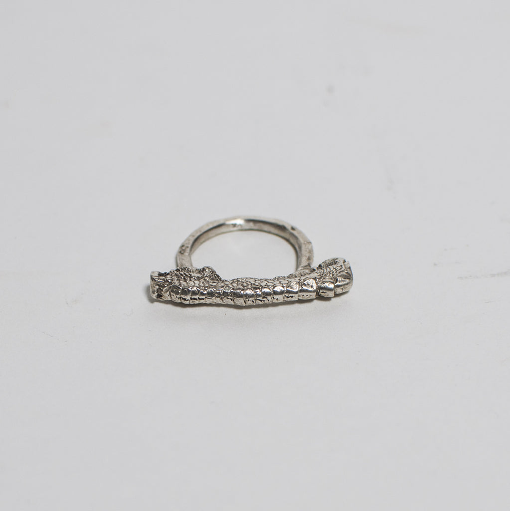 Terrae Rings